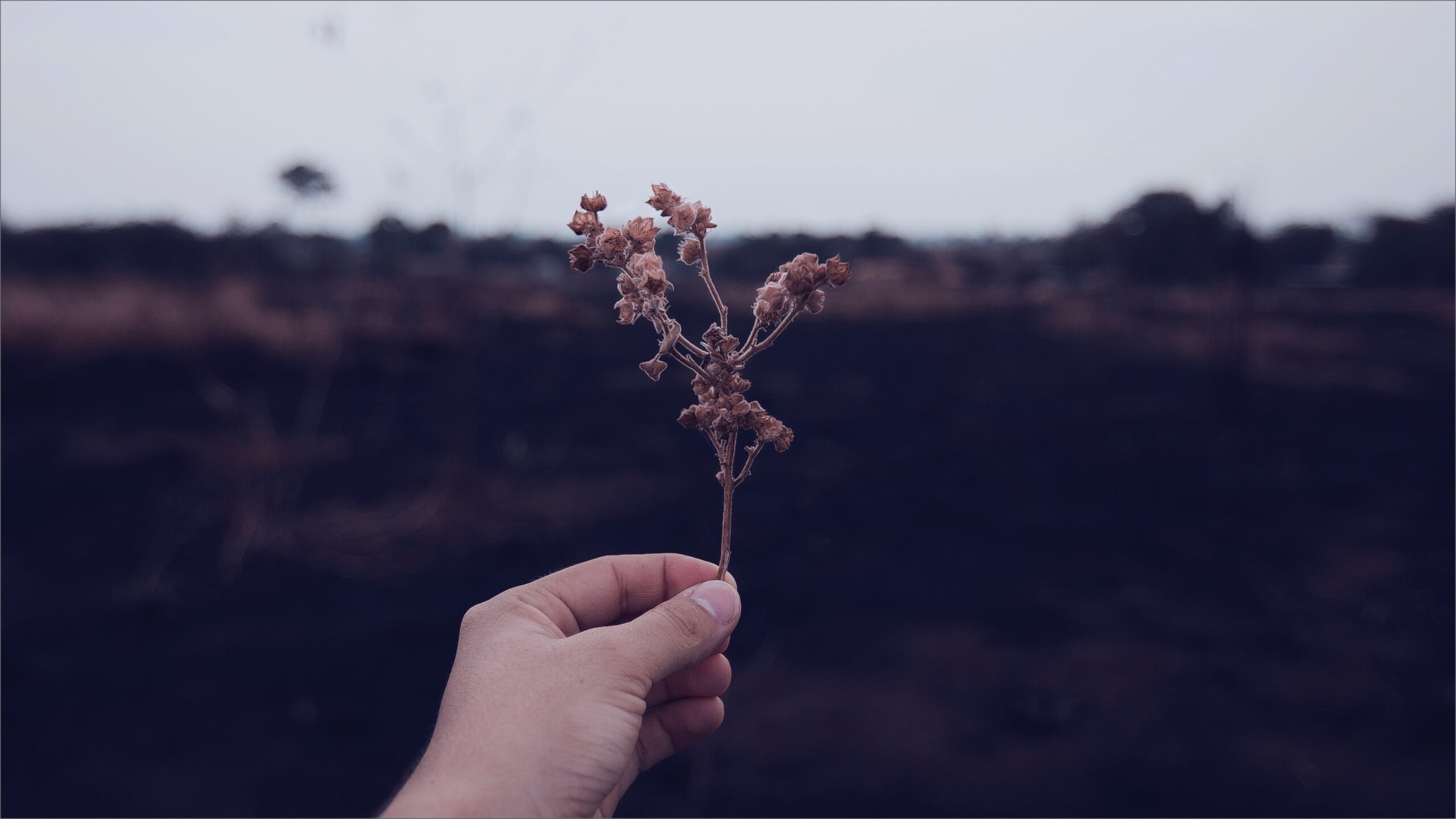 Praktische tips voor mindfulness